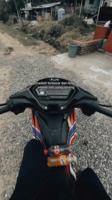 @tehhijau571