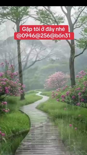 @Hoa Hướng Dương 6768