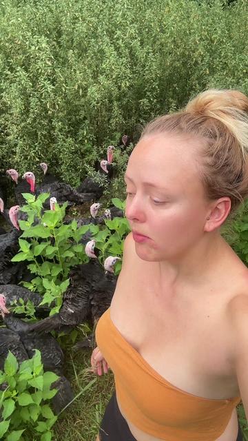 @farmerandtheharpiist
