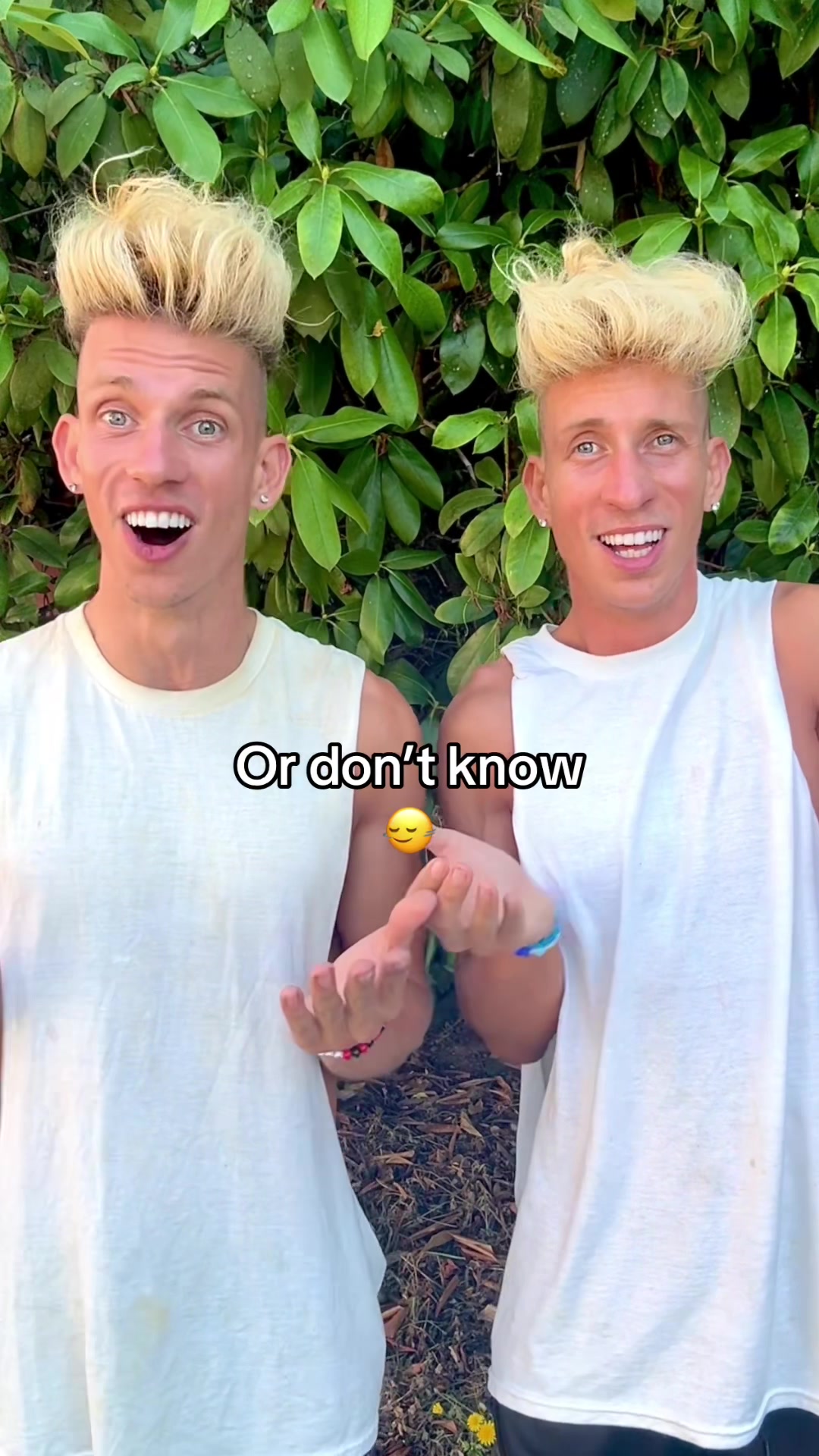 @vorostwins