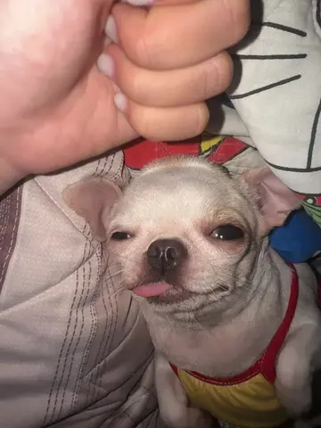 @Lún Lè👽