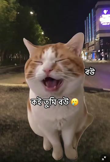 @SAIFUL