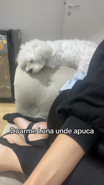 @Luna 🌝