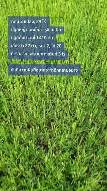 @KTM เขมจิราฟาร์ม