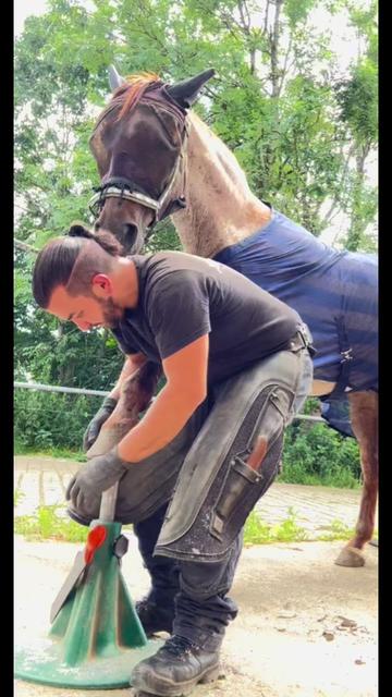 @Julian 🐴