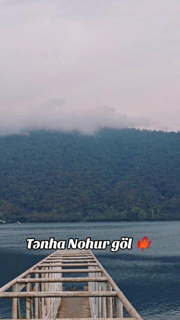 @Qəbələdə əmlak satışı