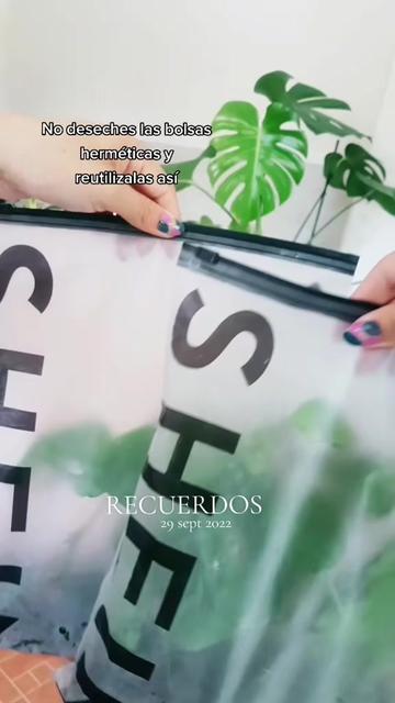 @Plantología🌿