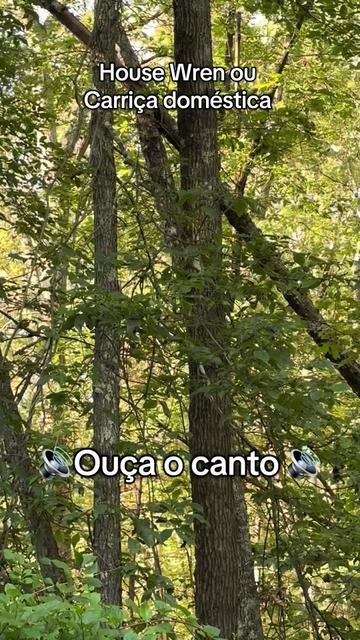 @Fernando