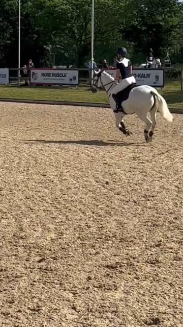 @amelia_showjumping2