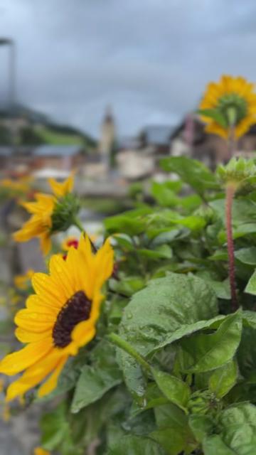 @Lech Zürs am Arlberg