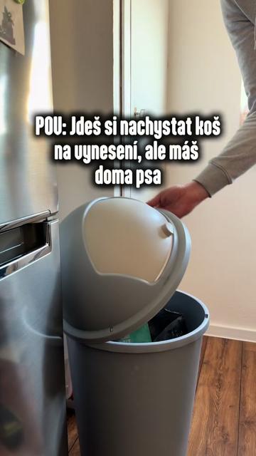 @animall_cz