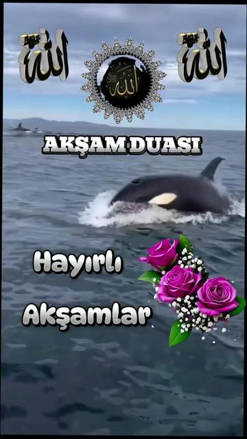 @A..AĞDAMLI⚘🇦🇿