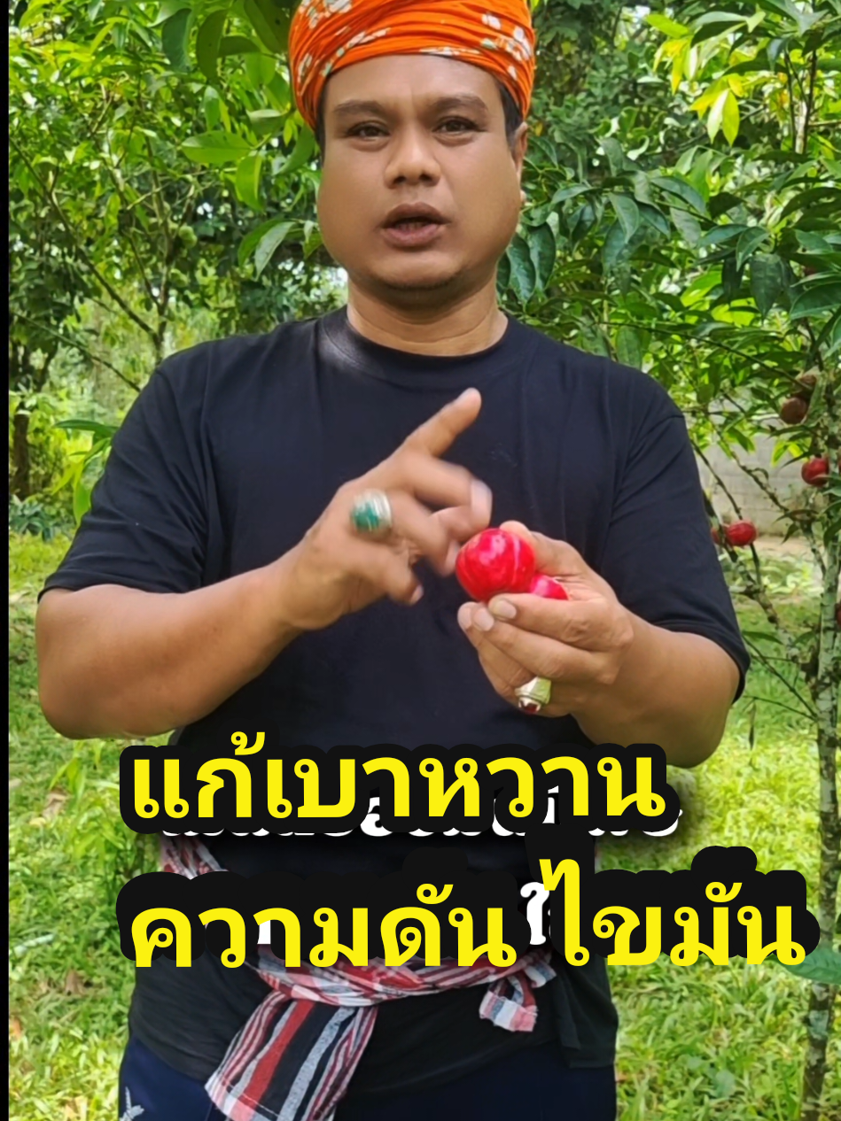 @Paklong Herb