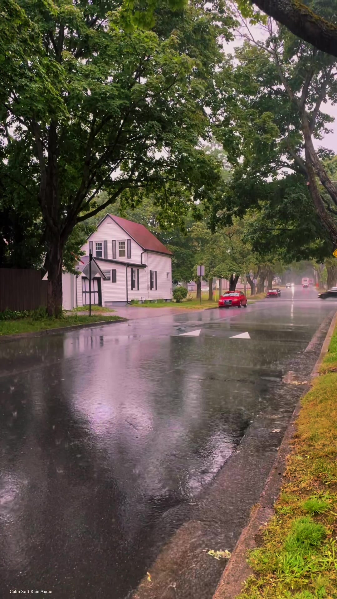 @Calm Soft Rain Audio