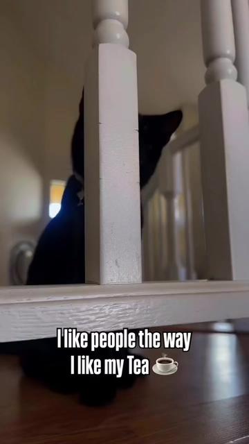 @Lil_desert_hobo