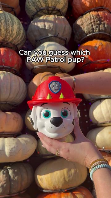 @pawpatrol