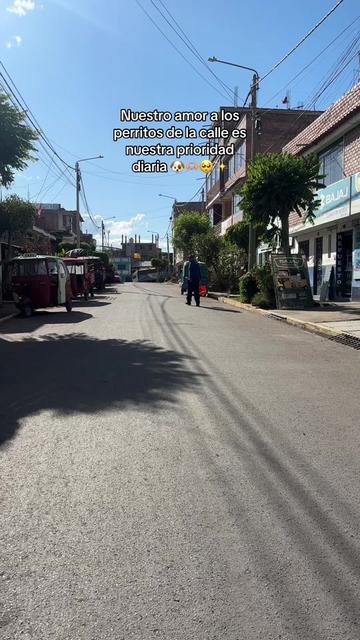 @Cabezotas 🐶