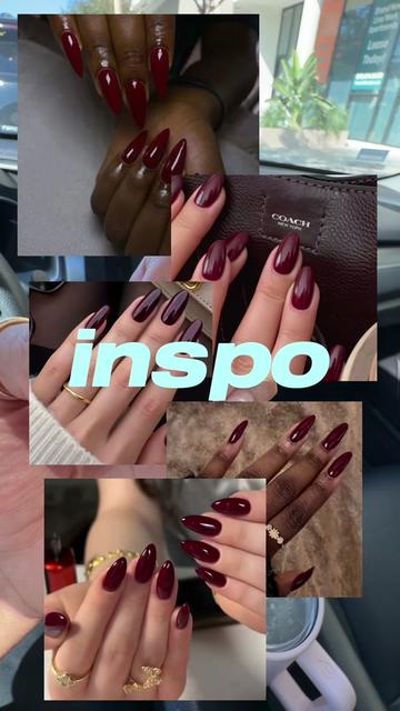 @tashjane