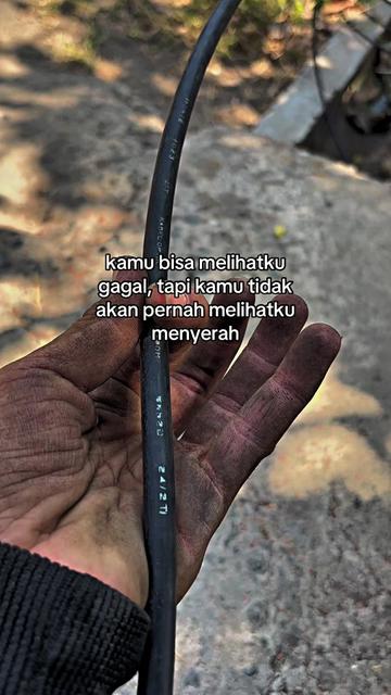 @Alfarisi