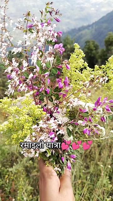 @babita basnet