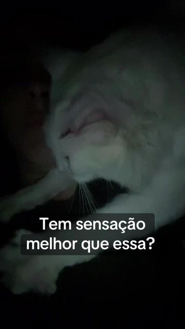 @Karoleos12gatos