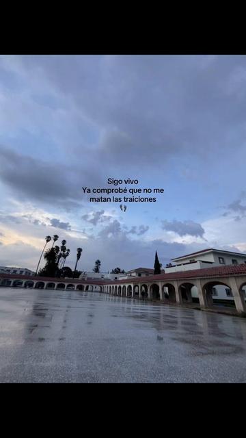 @Sofi Mora