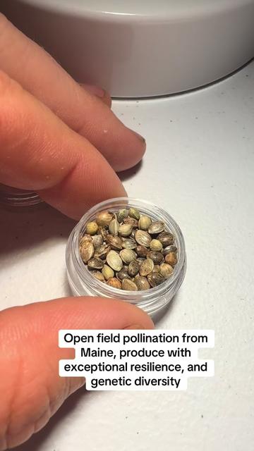 @SEEDTIVA