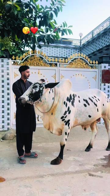 @NAWABi