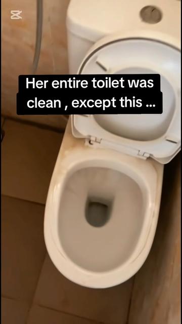 @Tilescleaner Toiletcleaner
