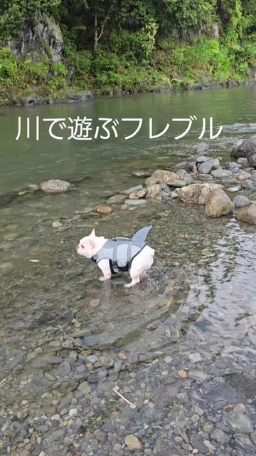 @フレブルJesse ❤️ MyO