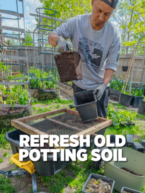 @Planted in the Garden