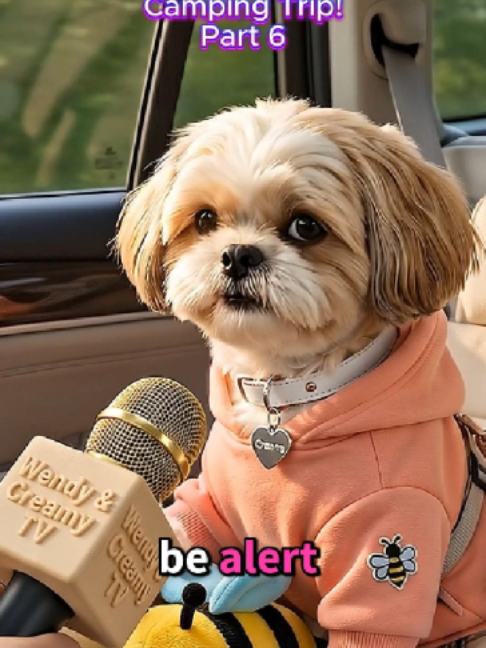 @Wendy and Creamy