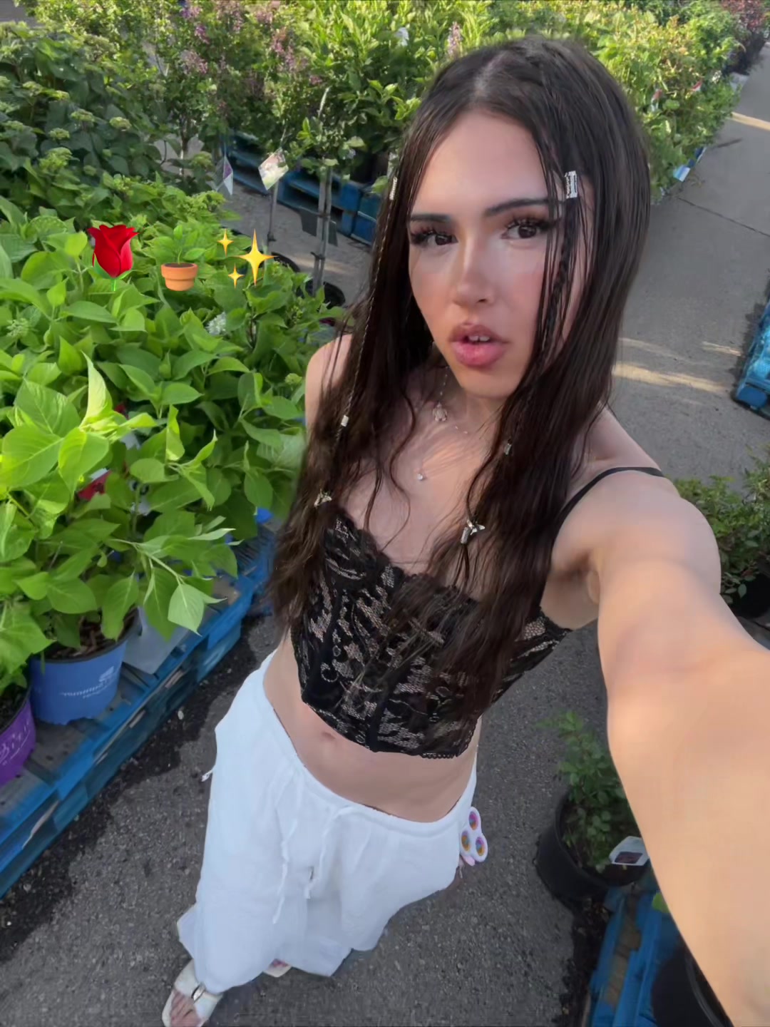 @Snowii
