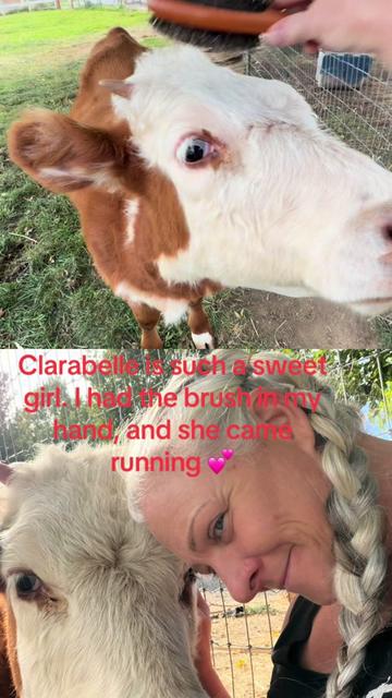 @WollamFarm