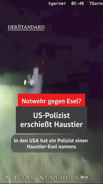 @DER STANDARD News