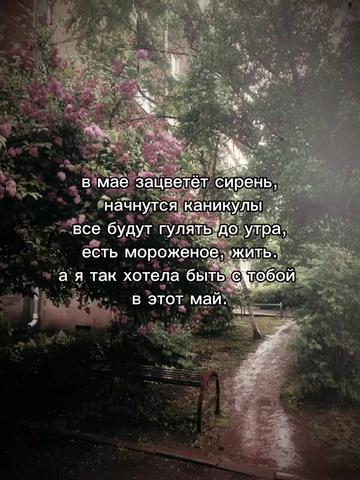 @𝓇𝒾𝒷𝒾𝓉