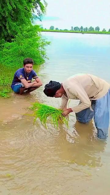 @💔 nafrat ha ishq se 💔