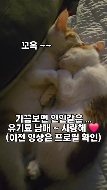 @๐ฉ์ด์์ฌ×234๐ฉ