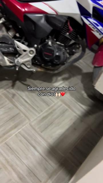 @𝐌𝐀𝐍𝐔𝐄𝐋