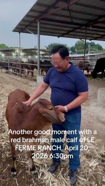 @ATTY. RAUL &ldquo;Kabaka&rdquo; LAMBINO