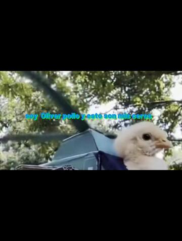 @You