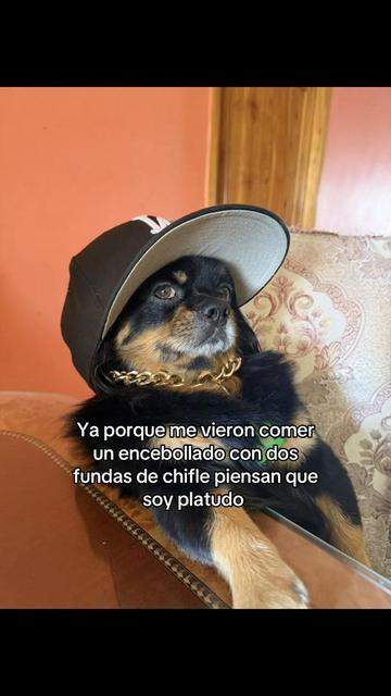 @🍀🐾Luis Pulgarin y Mafrencito