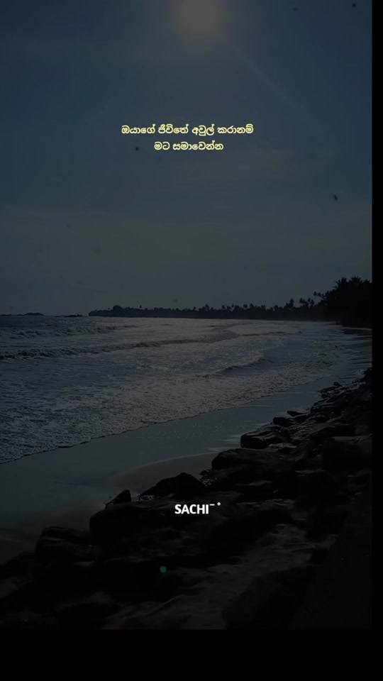 @𝙎𝗮𝗰𝗵𝗶┃සචි 〲 🩸🍃
