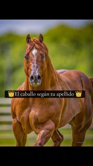 @Guillermo⚡☘️