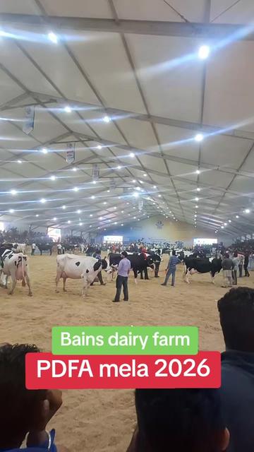 @MandeepBainspb12