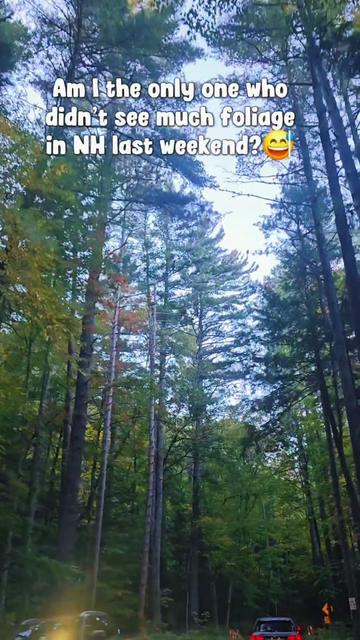@🦋 Donia 🦋