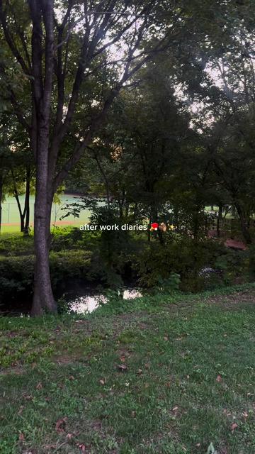 @Lexi 🌷