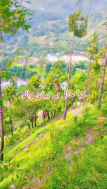 @it's kashmiri