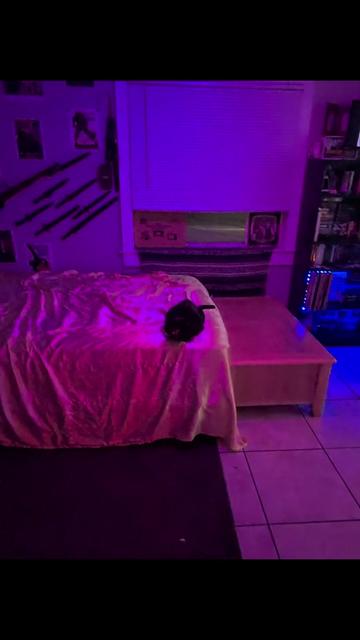 @mason.c98