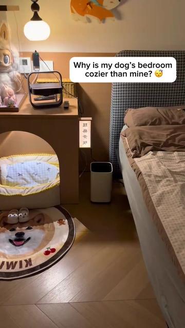 @Purrfect Oasis